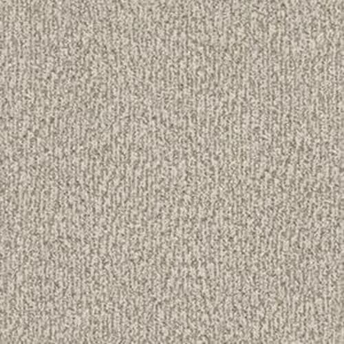 TIMELESS INFINITY in Birch Carpet