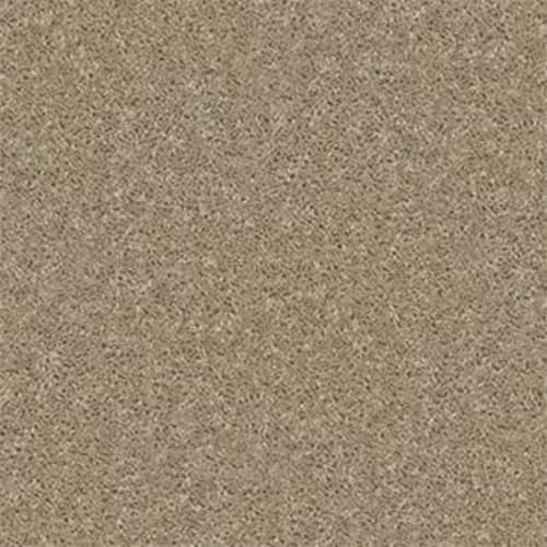 Mystique 15 in Granola Carpet