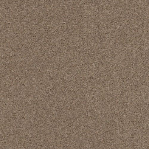 MAGICAL PLACE in Bungalow Carpet