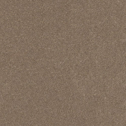MAGICAL PLACE in Bungalow Carpet