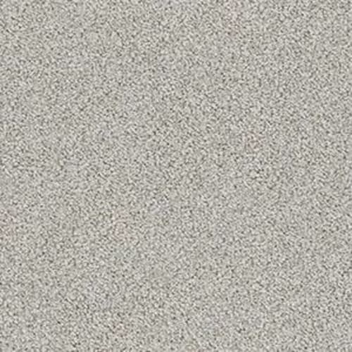 MAJESTIC BREEZE in Wisp Carpet