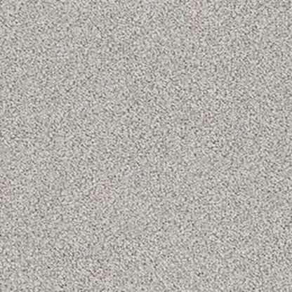 MAJESTIC BREEZE in Wisp Carpet