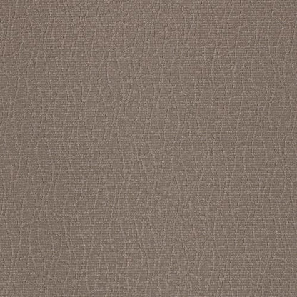 GREAT COMFORT in Caffeine Carpet