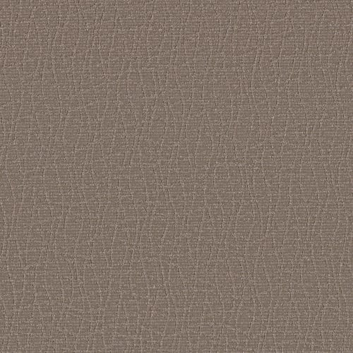 GREAT COMFORT in Caffeine Carpet