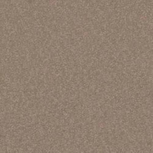 Radiant Vision I 12 in Balanced Beige Carpet