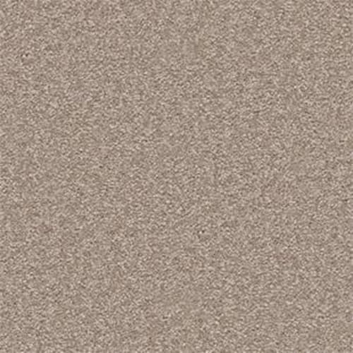 Radiant Vision II 15 in Leapfrog Carpet