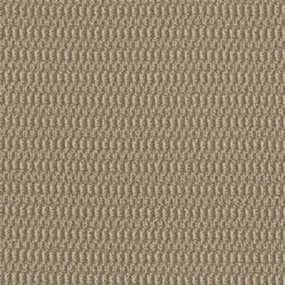 Dazed in Suitable Carpet