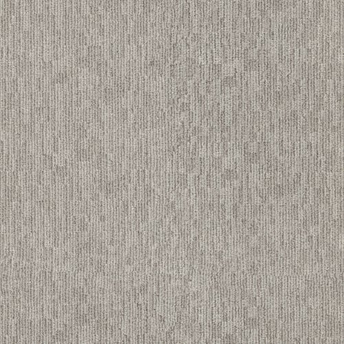 TENDER TIME in Campfire Ash Carpet