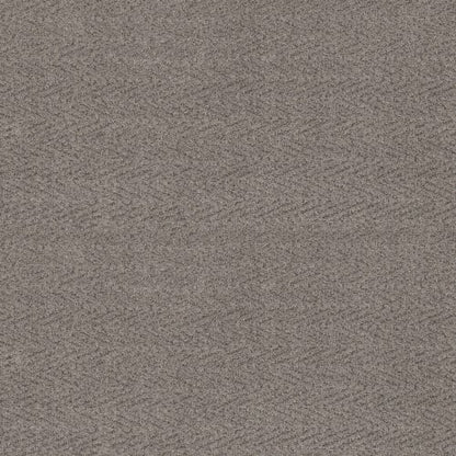 PRESERVATION in Sensible Carpet
