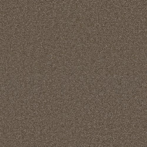 EXCEPTIONAL II in Tumbleweed Carpet