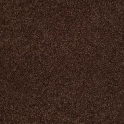 Natural Wonder II in Apple Butter Carpet