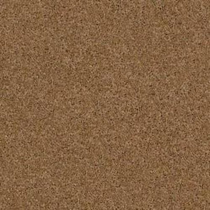 Gorrett in Leather Bound Carpet