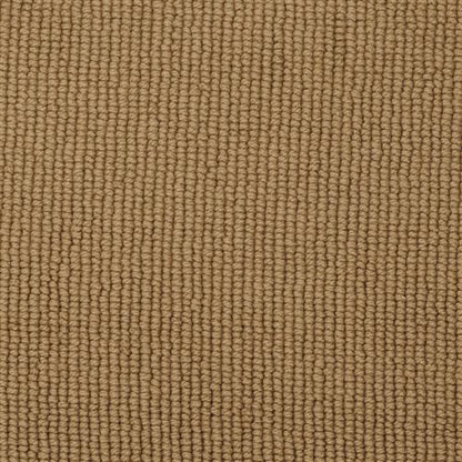 Paragon in Mustang Carpet