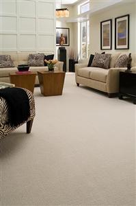 Paragon in Feather Carpet