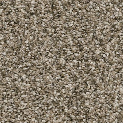 Jackson Hole II in Pebble Carpet