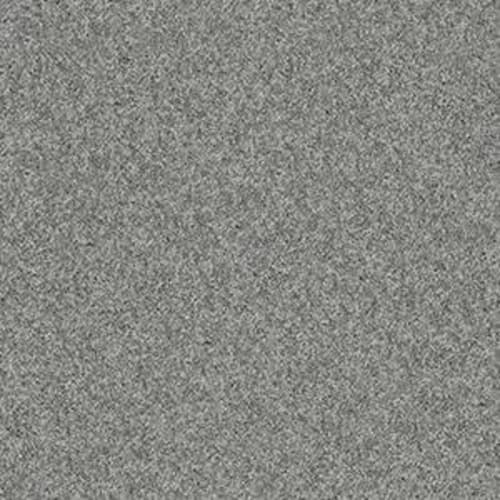 Quail Ridge II in Charcoal Carpet