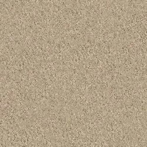 Quail Ridge III in Mesa Carpet
