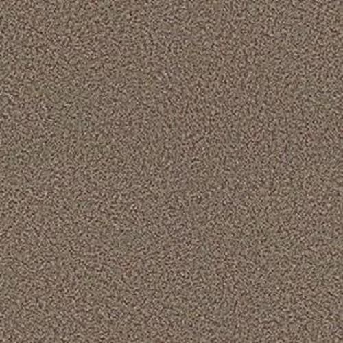 American Village II 28 Slp in Kick Off Carpet