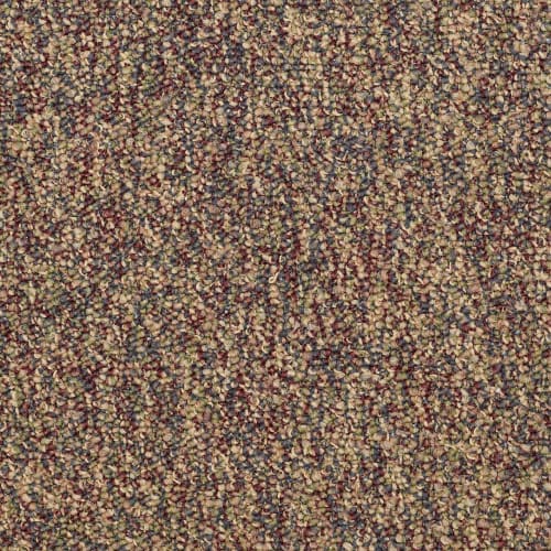 Chateau II 26 in Fruitwood Carpet