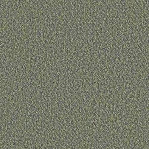 Chateau II 28 in Cavern Carpet