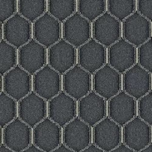 East Griffin in Nightshade Carpet