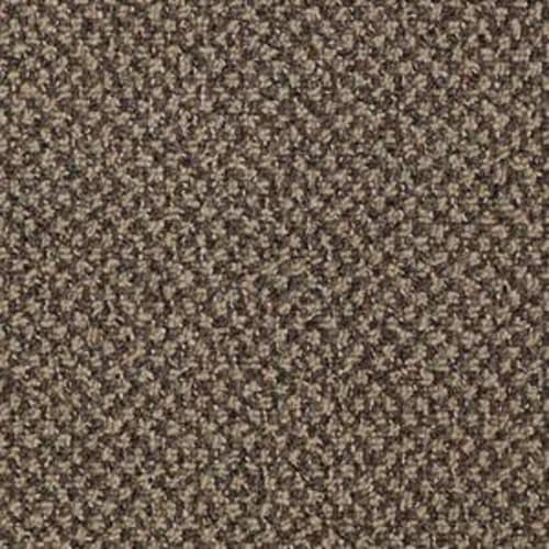 Shadow Canyon in Hot Order Carpet