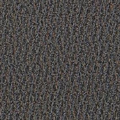 Cypress Row in Light Slate Carpet