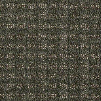 Appealing in Mallard Carpet