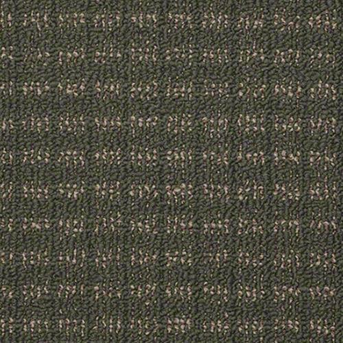Appealing in Mallard Carpet