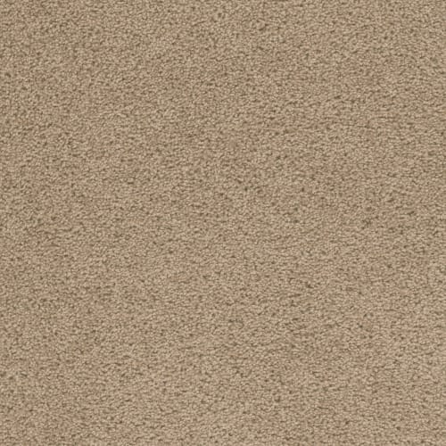 Merriment in Balsam Carpet