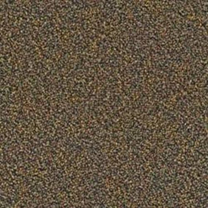 Westford in Winning Ticket Carpet