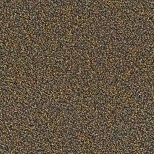 Westford in Winning Ticket Carpet