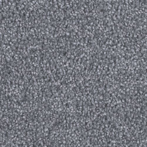 All Star in Pewter Carpet