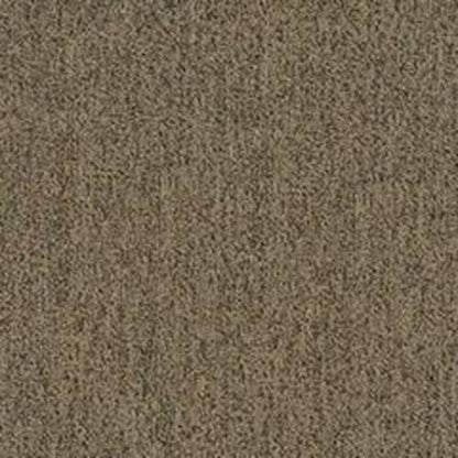 AMERICANVILLAII22615 in Time Out Carpet