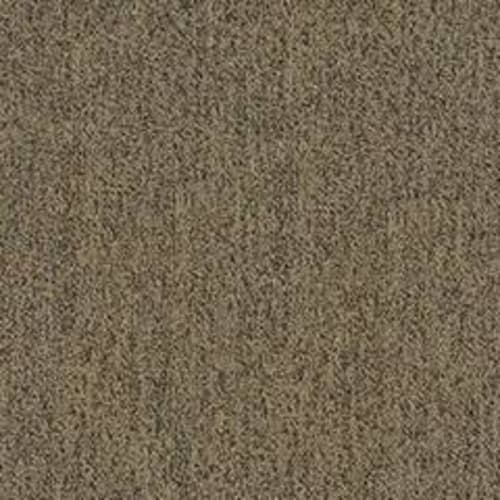 AMERICANVILLAII22615 in Time Out Carpet