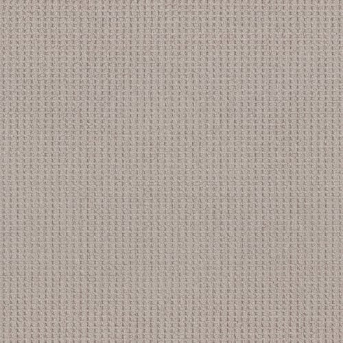 OFFICIAL GUEST in Baltic Stone Carpet