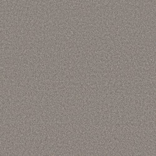 PALACE SUITE I in Distant Star Carpet