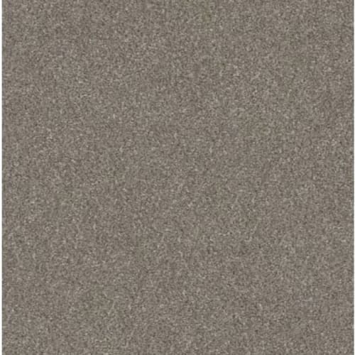 MEDFORD HALL III in Abalone Carpet