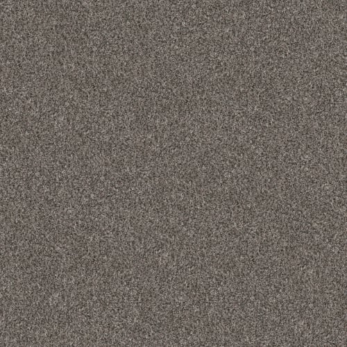 TRUE FUN I 12