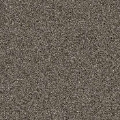 TRUE FUN I 12 in Urban Rustic Carpet