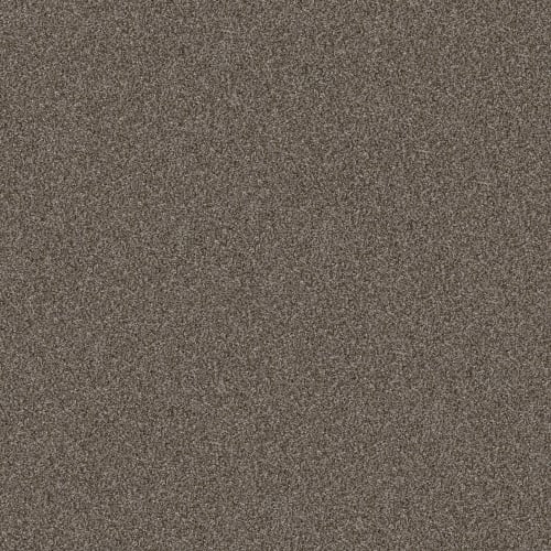 TRUE FUN I 12 in Urban Rustic Carpet
