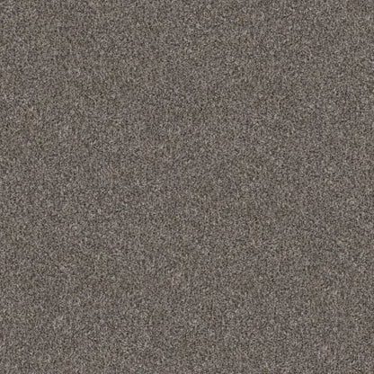 TRUE FUN I 15 in Marble Carpet