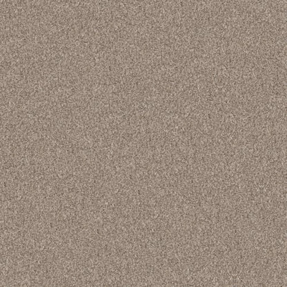 TRUE FUN III 12 in Natural Carpet