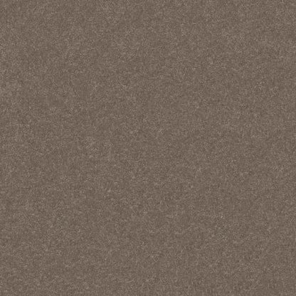 TAKE NOTICE II 12 in Cobblestone Carpet