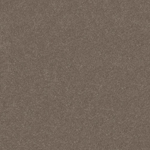 TAKE NOTICE II 12 in Cobblestone Carpet