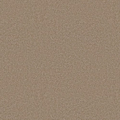 BIG DEMAND I in Worn Path Carpet