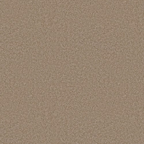 BIG DEMAND I in Worn Path Carpet