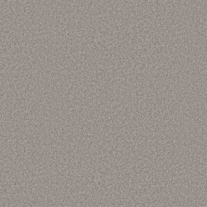BIG DEMAND III in Rock Crystal Carpet