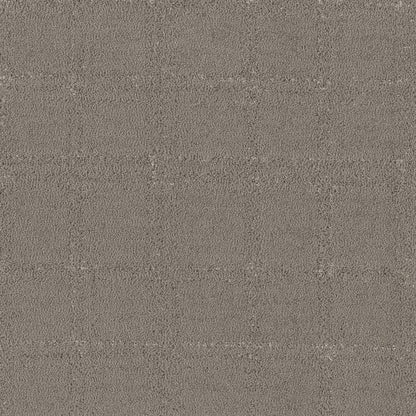 LEGACY LANE in Ashes Carpet