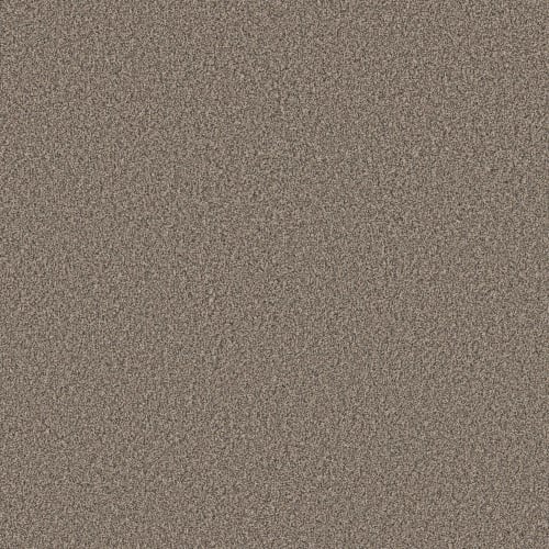 BRAVE SPIRIT I in Sea Shell Carpet